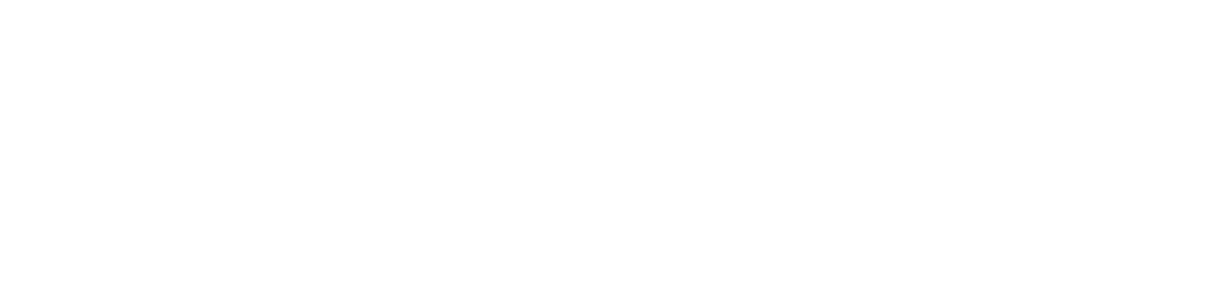 Logo.agenturniederl 06