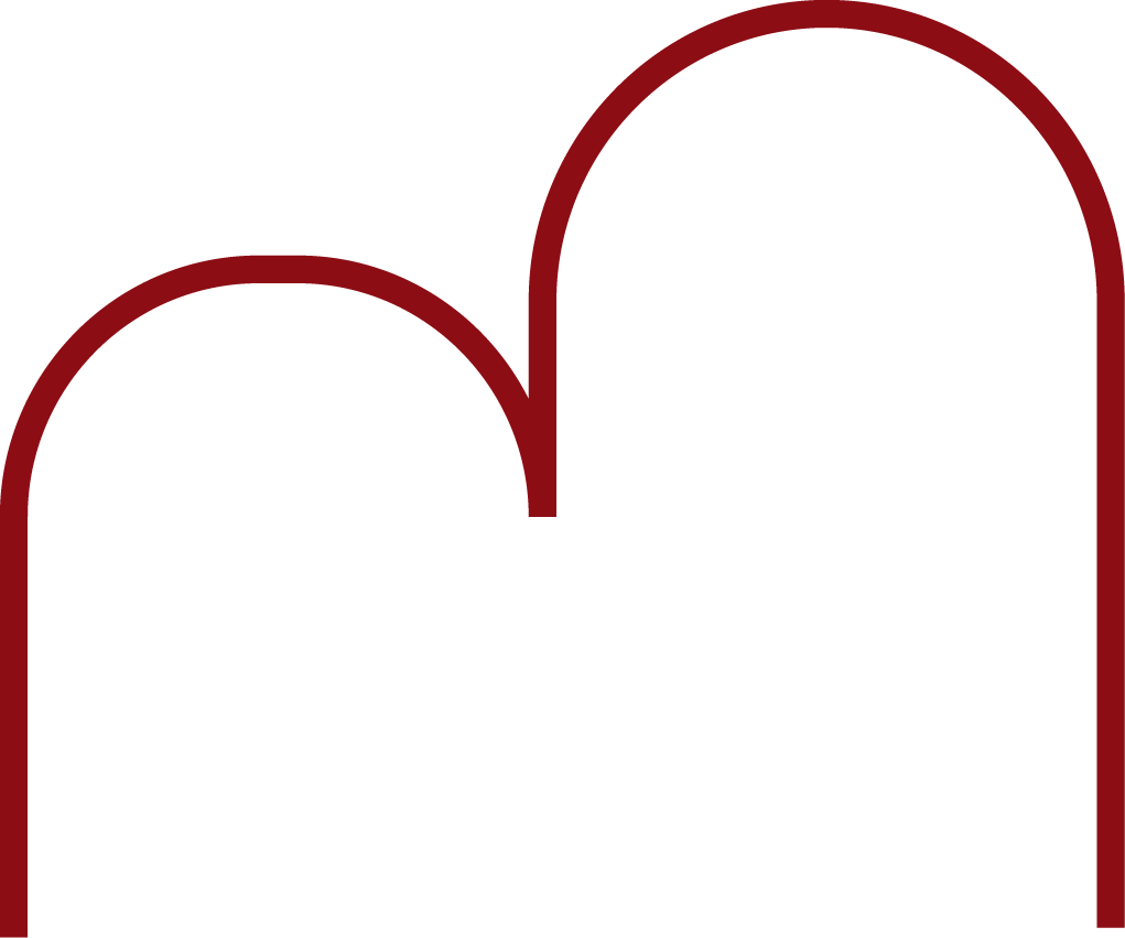 Logo.agenturniederl 12